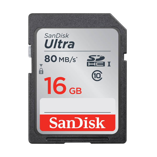 Memory SDHC 16Gb Class10 SanDisk