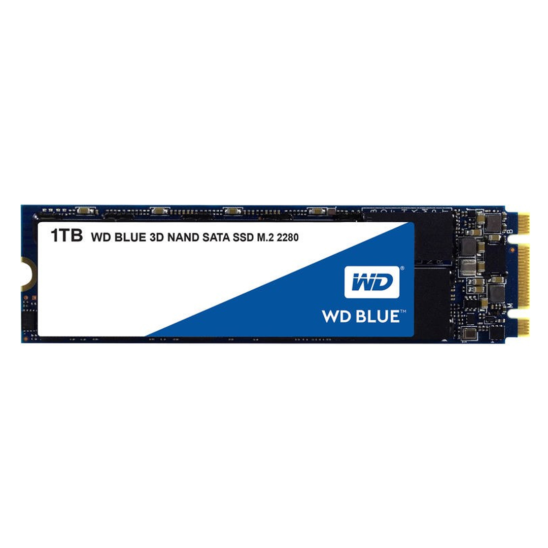 SSD M.2 Sata 1Tb WD Blue (MS6-54)