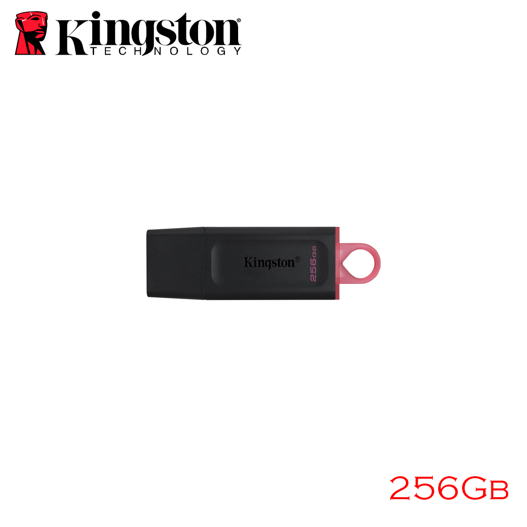 USB(3.2) Flash Driver 256Gb Kingston DTX