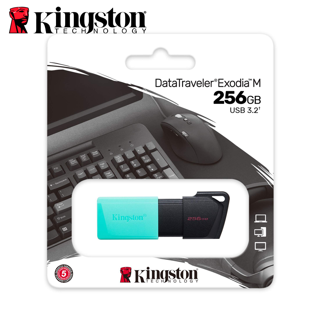 USB(3.2) Flash Driver 256Gb Kingston DTXM