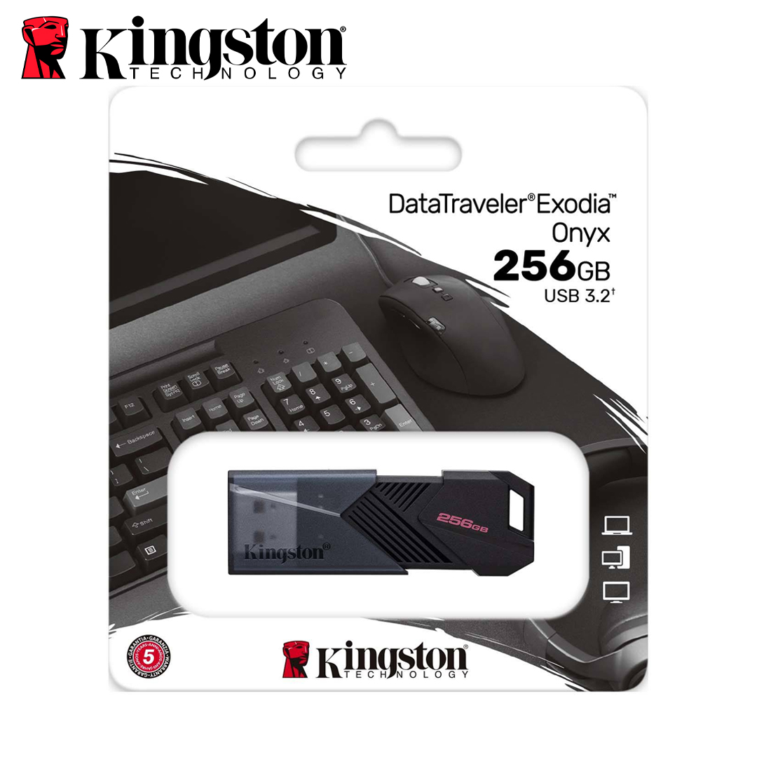 USB(3.2) Flash Driver 256Gb Kingston DTXON