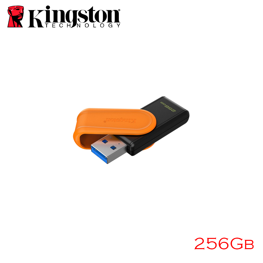 USB(3.2) Flash Driver 256Gb Kingston DTXS